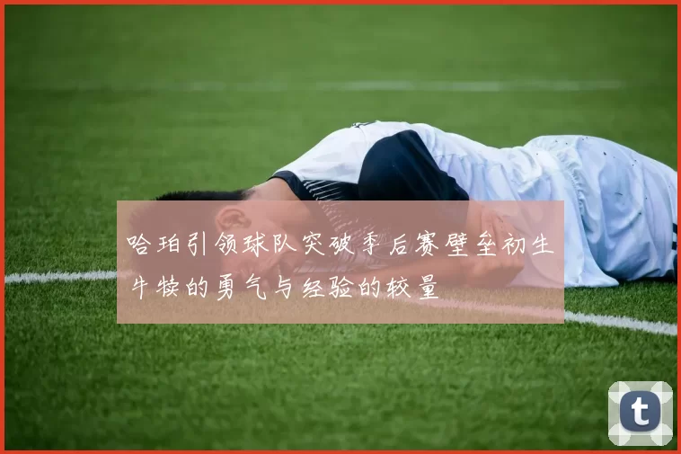 哈珀引领球队突破季后赛壁垒初生牛犊的勇气与经验的较量